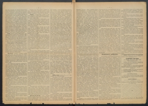 gazeta radomska-1884-14-00002